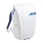 Mizuno Backpack 25 táska