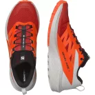Salomon Sense Ride 5 férfi futócipő