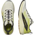 Salomon Sense Ride 5 férfi futócipő