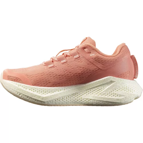 Salomon Aero Glide 3 W női futócipő