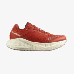 Salomon Aero Glide 3 Grvl W női futócipő