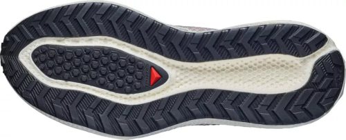Salomon Aero Glide 4 Grvl W női futócipő