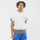 Salomon Cross Run SS Tee M férfi rövid ujjú futópóló