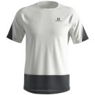 Salomon Cross Run SS Tee M férfi rövid ujjú futópóló