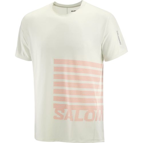 Salomon Sense Aero SS Tee GFX M férfi rövid ujjú futópóló