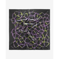 Salomon Bandana Grvl GFX