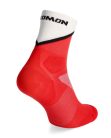 Salomon Socks Pulse Ankle