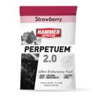 Hammer Perpetuem 2.0 (eper) italpor - 46 g