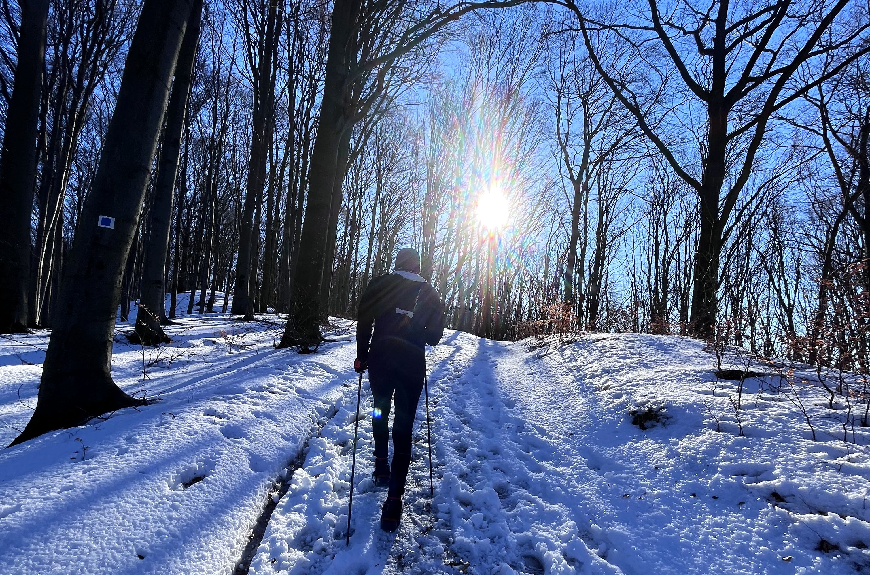 A téli terepfutás esszenciája