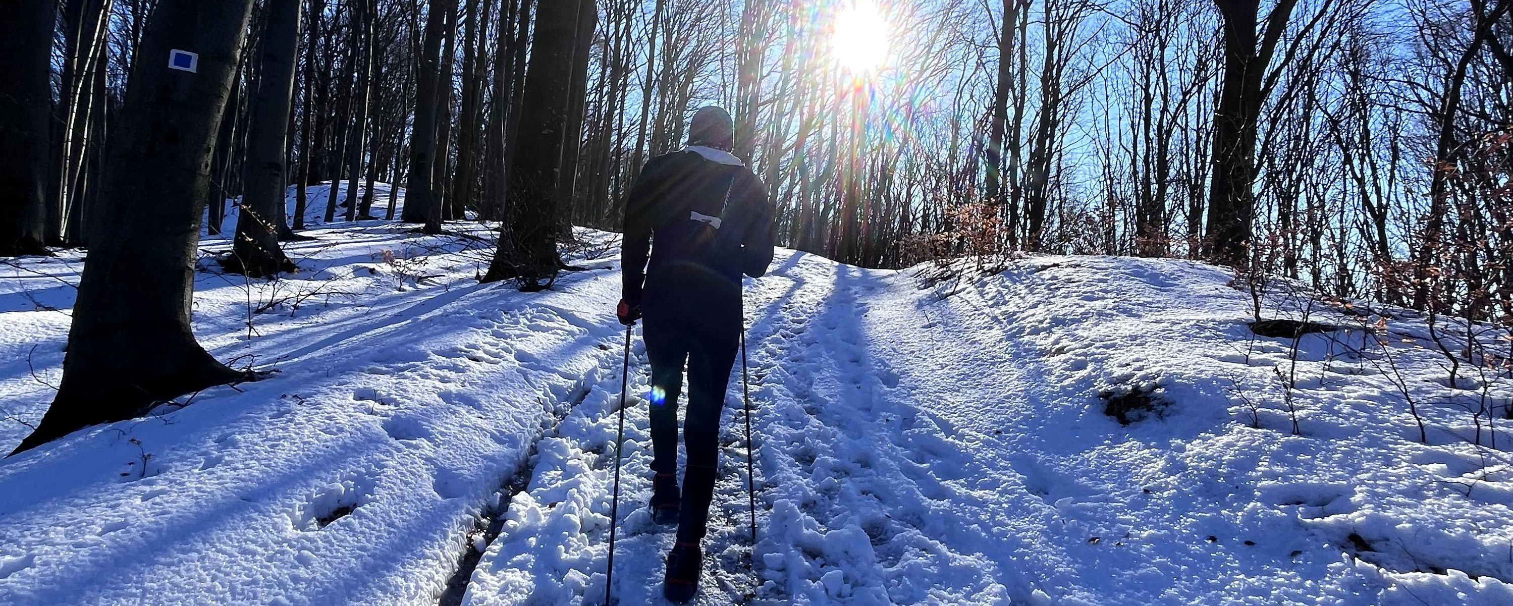 A téli terepfutás esszenciája